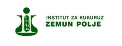 Zemun polje
